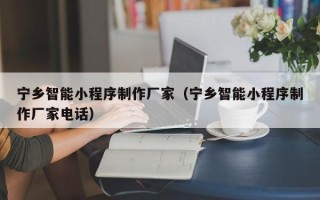 泗阳宁乡智能小程序制作厂家（宁乡智能小程序制作厂家电话）