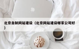泗阳北京自制网站建设（北京网站建设哪家公司好）