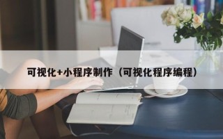 泗阳可视化+小程序制作（可视化程序编程）